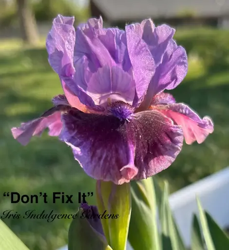 Don't Fix It